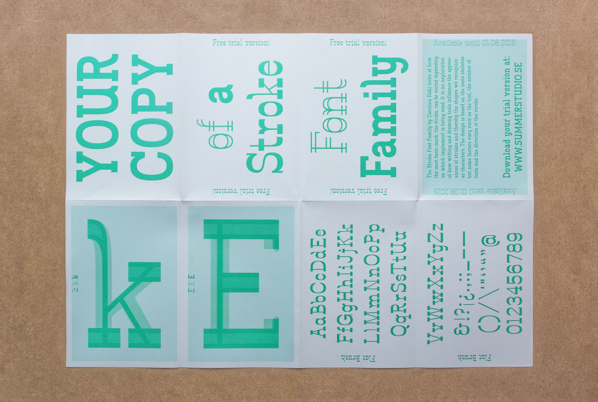 Stroke Font Family Specimen